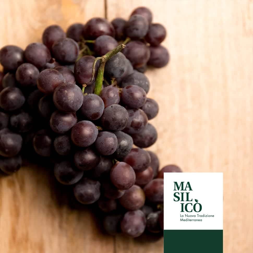 STORIA DELLA VITE DI UVA FRAGOLA