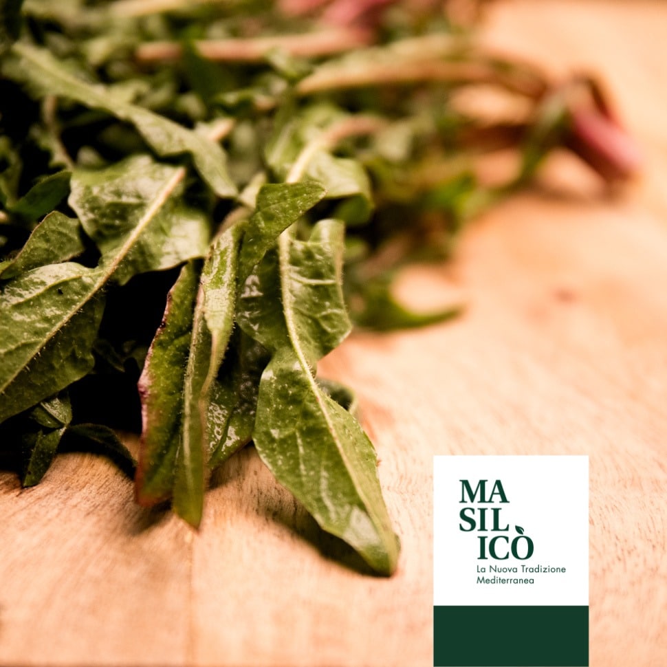 La cicoria selvatica